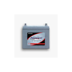 Phoenix EUROMAX 100